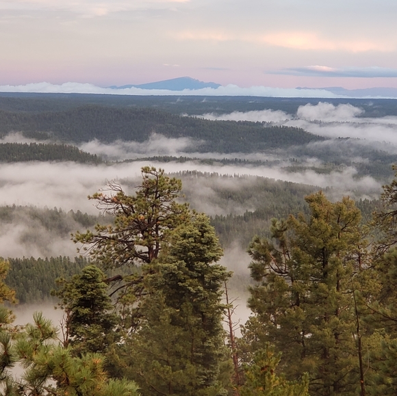 Meet your Posher - Picture 3 of 16